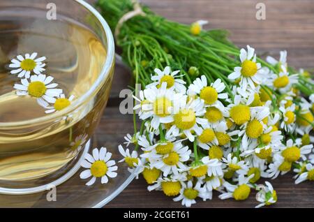 Matricaria chamomilla - un'erba medicinale. Bouquet di camomilla e tazza di tè caldo alle erbe da vicino. Trattamento a base di erbe. Foto Stock