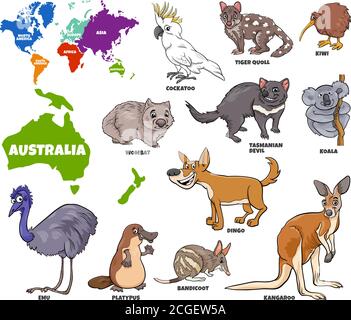 Illustrazione educativa del Cartoon degli animali australiani e della mappa del mondo Con le forme dei continenti Illustrazione Vettoriale