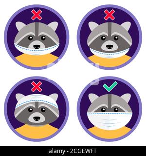 Il simpatico raccoon mostra come indossare correttamente la maschera facciale. Modi sbagliati e giusti per utilizzare la maschera medica protettiva. Divertente cartoon istruzione visiva per i bambini Illustrazione Vettoriale