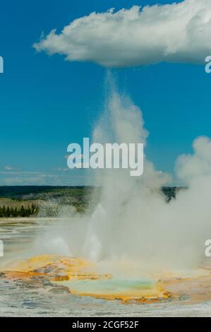 Lo spasmo geyser presso i Fountain Paint Pots nel Parco Nazionale di Yellowstone nel Wyoming, Stati Uniti. Foto Stock