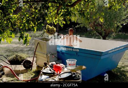 Balatonudvari, Ungheria. 09 settembre 2020. L'operaio ungherese Bulai Jani ha raffigurato al lavoro durante la vendemmia della famiglia Huszár, sulle dolci colline di Balatonudvari, sul lago Balaton. Tre generazioni di produttori di vino che producono vini rossi e bianchi di qualità olaszrizling. Balaton è una delle regioni vinicole ufficialmente designate in Ungheria. Credit: SOPA Images Limited/Alamy Live News Foto Stock