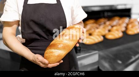 Primo piano fornaio in grembiule che tiene il pane caldo della baguette sopra background della linea di produzione automatizzata Foto Stock