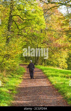 Donna anziana che cammina su un sentiero in una foresta autunnale Foto Stock