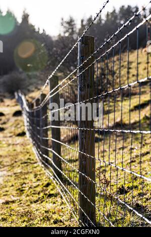 Vista attraverso i campi con recinzione di filo spinato e di collegamento a catena. Foto Stock