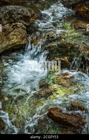 Il torrente Orfento scorre tra rocce con muschio verde con piccole cascate e acqua limpida. Riserva Naturale della Valle d'Orfento, Parco Nazionale della Maiella Foto Stock