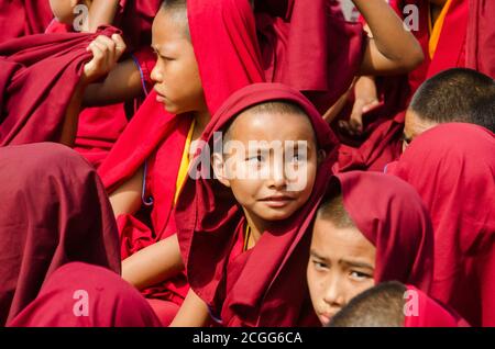 i lamas tibetani del bambino radunano durante il tempo di preghiera a bodh gaya bihar india. Foto Stock