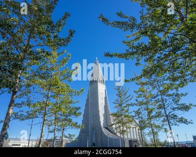 Hallgrímskirkja attraverso gli alberi Foto Stock