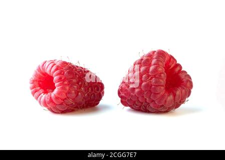 Due frutti di lampone maturi isolati su sfondo bianco Foto Stock