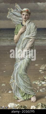 Moore Albert Joseph - Seashells - Scuola Britannica - 19 Secolo Foto Stock