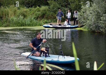 uomo su tavola con piccolo cane nero sul fiume waveney bungay suffolk inghilterra Foto Stock