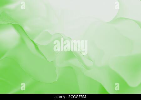 Colore bianco verde chiaro chiaro chiaro sfondo offuscato astratto Foto Stock
