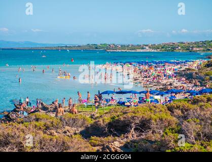 Stintino (Italia) - una delle spiagge di sabbia più famose d'Italia, 'la Pelosa' dell'isola di Sardegna, provincia di Sassari, il parco nazionale marino dell'Asinara Foto Stock