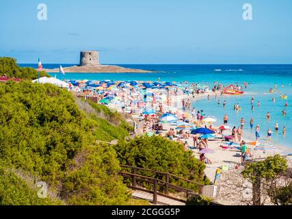 Stintino (Italia) - una delle spiagge di sabbia più famose d'Italia, 'la Pelosa' dell'isola di Sardegna, provincia di Sassari, il parco nazionale marino dell'Asinara Foto Stock