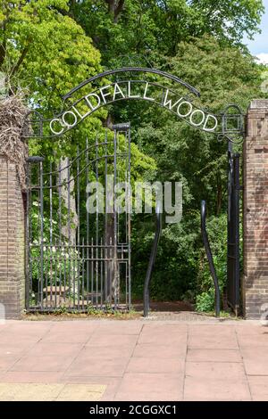 Copripice con terreno boschivo standard, Coldfall Wood, Londra Foto Stock