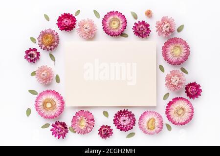 Composizione dei fiori. Fustellato di carta e cornice di fiori secchi su sfondo bianco. Disposizione piatta. Vista dall'alto. Spazio di copia - immagine Foto Stock