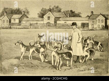 . il foxhound del ventesimo secolo : l'allevamento e il lavoro dei canili d'Inghilterra . perché è stato l'origine che altri canili si rivolgono quando cercano i servesof hounds stallion, possedendo come esso fa materiale muchhereditary. I documenti dei pacchetti di vicinato mostrano, che per lavoro e apparenza hanno cercato invano l'aiuto dei fratelli Birdsall. La bella struttura di Birdsall, nei pressi di Malton, è un centro molto importante, dove viene allevato il miglior frontone di tutte le descrizioni, tra cui i cacciatori, la cui origine può essere tracciata indietro di cento anni ai vecchi cavalli pack shi Foto Stock