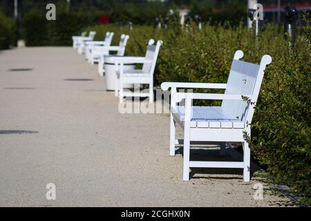 Prospettiva di panchine bianche vuote in fila al pubblico park vicolo Foto Stock