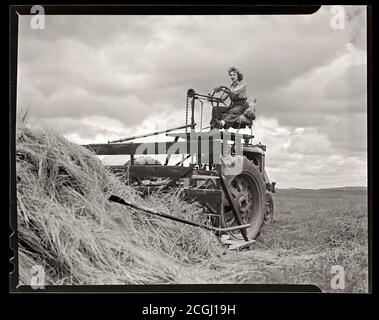 Donna su trattore agricolo, circa 1938. Farmall F-20 su pneumatici in gomma. Trattore McCormick Deering, 1932 - 1939. Immagine da 4x5 pollici negativo. Foto Stock