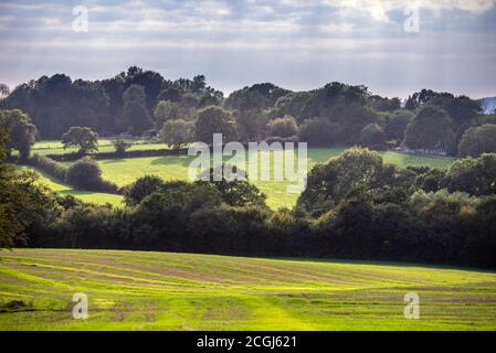 Gun Hill, 10 settembre 2020: Una vista attraverso i campi nel tardo pomeriggio su Gun Hill, Sussex orientale Foto Stock
