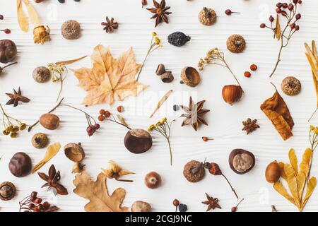 Autunno piatto posato. Foglie di caduta, bacche, ghiande, noci, anice, castagne e fiori su sfondo bianco. Modello autunnale con dettagli del giardino naturale Foto Stock