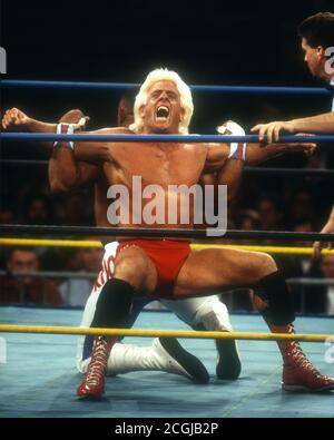 Wrestler Ric Flair, 1987, Foto di John Barrett/PHOTOlink Foto Stock