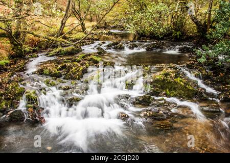 Una piccola cascata in un ruscello nel Distretto dei Laghi vicino Coniston Water. Foto Stock