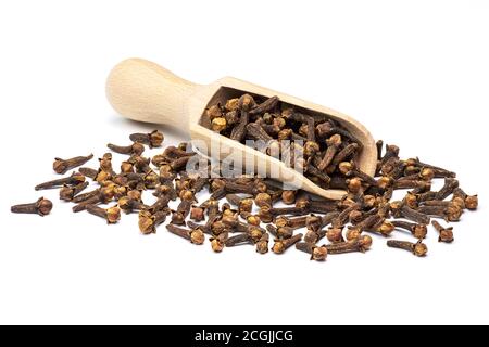 Spezia di chiodo di garofano essiccata nella paletta di legno isolata su sfondo bianco. Primo piano della profondità di campo completa. Foto Stock