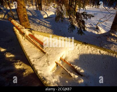 Coppia di remi in legno e una barca a remi / skiff piena di neve e ghiaccio a Winter , Finlandia Foto Stock