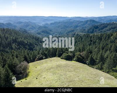 Panoramica V - Vista aerea dell'area ricreativa statale di Austin Creek. Guerneville, California, Stati Uniti Foto Stock