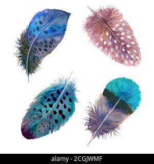 Le piume acquerello sono isolate su bianco. Acquerello disegnato a mano piuma d'uccello vibrante stile boho illustrazione luminosa. Design a stampa per t-shirt, invi Illustrazione Vettoriale