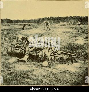 . Storia della prima batteria leggera Connecticut Volontarii, 1861-1865. Registrazioni personali e promemoria. La storia della batteria dalla sua organizzazione al presente. Secondo l'ordine ci siamo Uniti agli altri bat-teries della Brigata artiglieria su Carey Street, Richmond, il giovedì mattina. Abbiamo preso la linea di marzo per Petersburg. Il giorno è STATO ALEXANDER W. WELTON. Di Cheshire.enlisted ottobre 17,1861; musteredCorporal ottobre 26, 1861; promotedSergeant maggio 25, 63; re-enlistedveteran dicembre 19, 63; promotedQuartermaster Sergeant novembre 20, 64; promosso ist Sergeantaprile 12, 65; mustered out Foto Stock