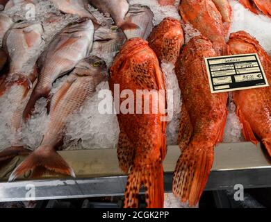 Carneiro Pesce (scorfano rosso) e orata di mare in vendita presso il mercato del pesce di Funchal, Madera Foto Stock