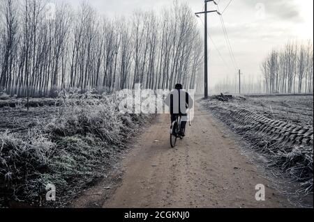 Mortara -12/30/2011: Uomo in bicicletta lungo una strada nella valle del po durante l'inverno Foto Stock