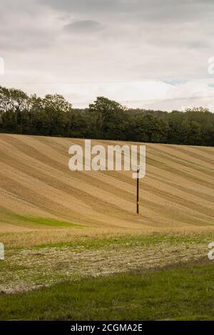 Campo collinare raccolto in tarda estate nel South Downs National Park vicino a Buriton, Hampshire, Inghilterra, Regno Unito Foto Stock