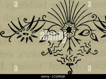 . La guerra civile al confine; . essere attratti in un'altra azione, e spostato in direzione di Marshfield e Hartville. L'AsGeneral Brown non aveva ricevuto rinforzi dall'Armata della frontiera, la guarnigione di Springfieldera troppo debole per risparmiare truppe per l'inseguimento del nemico. La perdita federale nell'azione era 14 uomini uccisi, 146 feriti e 4 dispersi. Il generale Marmaduke ha riferito la perdita confederata a 20 uomini uccisi e 124 feriti, e il colonnello Crabb ha riferito di avere 60 a 80 dei feriti con-federati, che sono stati lasciati sul campo, per prendere careof. Dal lato federale il Foto Stock
