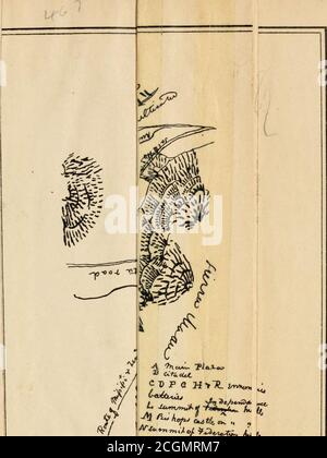 . La vita e le lettere di George Gordon Meade, maggiore-generale esercito degli Stati Uniti. Voi particolari. Siamo arrivati prima di Monterey il diciannovesimo istante. Ero in anticipo con il generale Taylor, che stava cercando un campeggio adatto per l'esercito, al di là della gamma delle armi di enemys. WeAdvanced entro un miglio delle loro opere, ma non poteva vedere alcun segno di teiroccupazione, e ha iniziato a credere che le relazioni ricevute durante il tragitto, che theyhad deserted. Alcuni dei nostri coraggiosi compagni, tuttavia, che si avvicinarono, trovarono una forza di cavalleria, con la quale si scambiarono i colpi. Il Gen-eral, avendo selezionato un posto adatto per il campo, ordine Foto Stock