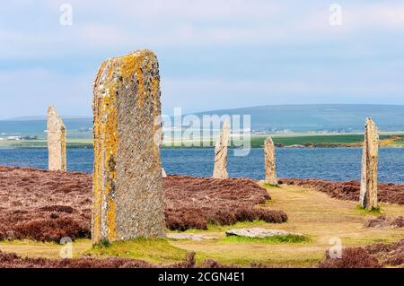 Stones of Stenness risale ad almeno il 3100 a.C. e fanno parte del cuore del Neolitico Orkney, patrimonio dell'umanità dell'UNESCO, Scozia, Regno Unito