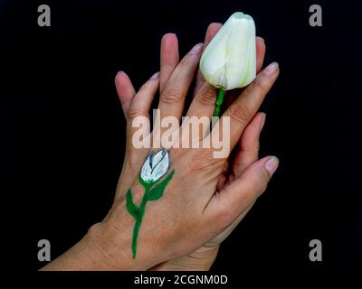 Le mani di una donna tengono un tulipano bianco e su uno delle sue mani ha lo stesso fiore dipinto Foto Stock