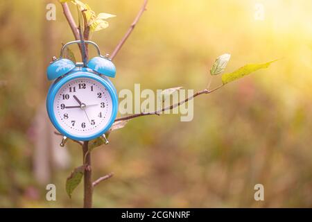 Orologio d'epoca e foglie d'acero nella foresta d'autunno. Stile immagine stagione autunnale. Informazioni sull'ora legale autunnale. Ora legale. Foto Stock