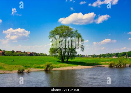 vista dal fiume elba all'elbauen di dresda Foto Stock