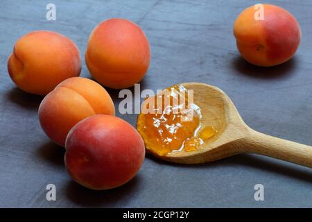 Marmellata di albicocche in cucchiaio da cucina e albicocche, Germania Foto Stock
