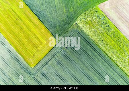 Campi verdi e prati, vicino a Huglfing, Pfaffenwinkel, registrazione droni, alta Baviera, Baviera, Germania Foto Stock