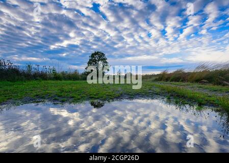 Cielo nuvoloso riflesso in acqua, Goldenstedter Moor, Oldenburger Muensterland, bassa Sassonia, Germania Foto Stock