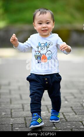 Bambino, ragazzo, 14 mesi, multietnico, primi passi, Blaubeuren, Baden-Wuerttemberg, Germania Foto Stock