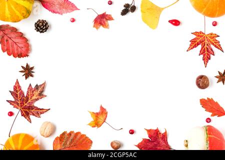 Composizione autunnale. Telaio fatto di foglie secche, zucche, fiori, bacche, noci, coni su sfondo bianco. Autunno, caduta, giorno di ringraziamento concetto. F Foto Stock