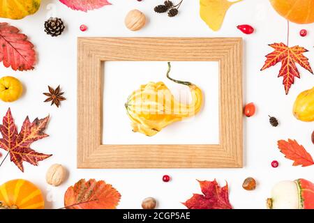 Sfondo del giorno del Ringraziamento o dell'autunno. Telaio fatto di foglie secche, zucche, fiori, bacche, noci, coni su sfondo bianco. Disposizione piatta, vista dall'alto con Foto Stock