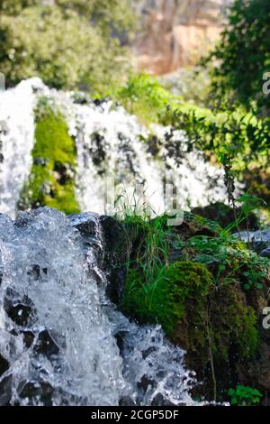 Vista delle cascate e delle cascate di Skradinski Buk sul fiume Krka. Krka Parco Nazionale, Dalmazia, Croazia Foto Stock