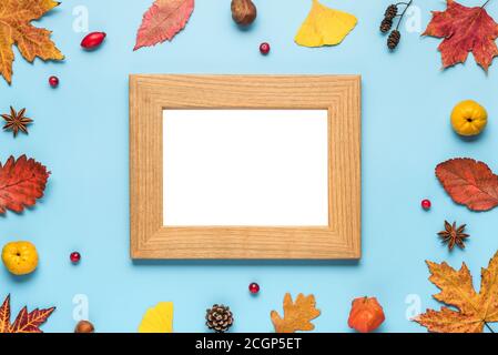 Cornice fotografica autunnale per il ringraziamento. Foglie secche, fiori, noci, bacche su sfondo blu. Disposizione piatta, mock-up. Vista dall'alto con spazio per la copia Foto Stock