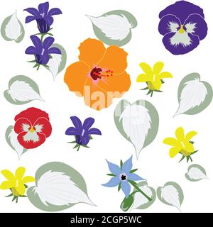 Fiori bellissimi e colorati motivo senza giunture Illustrazione Vettoriale