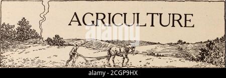 . Rivista dei dipendenti di Baltimora e Ohio . UN ATTRAENTE TAVOLO PATRIOTTICO DECORAZIONE. (Per la descrizione, vedere pagina 50). A Home Garden l'uomo Frisco, la magnzine dipendente della St. Louis e San Francisco Railway Company, ha gestito questo articolo sul giardino di casa nel suo numero di marzo, e wc stanno ristampando con theircourtesy. L'alto costo di vita è motivo sufficiente per il nostro fare questo e wc speranza che il yardsof posteriore delle case di?nany dei nostri impiegati sarà trasformato in giardini graziosi e redditizi a causa di it.IT ivill essere notato che la piantatura dei primi semi è raccomandata per 1 aprile Foto Stock